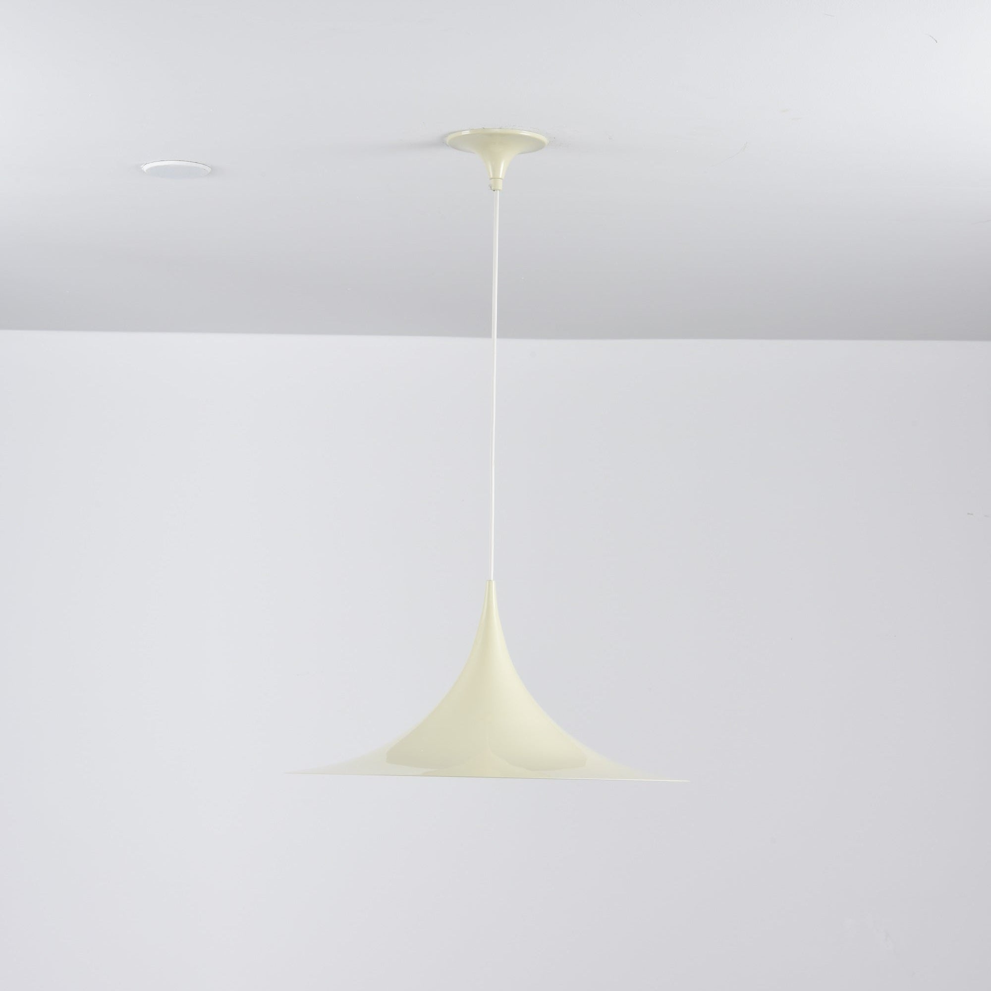 Lioreina Swag Pendant Light
