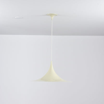 Lioreina Swag Pendant Light