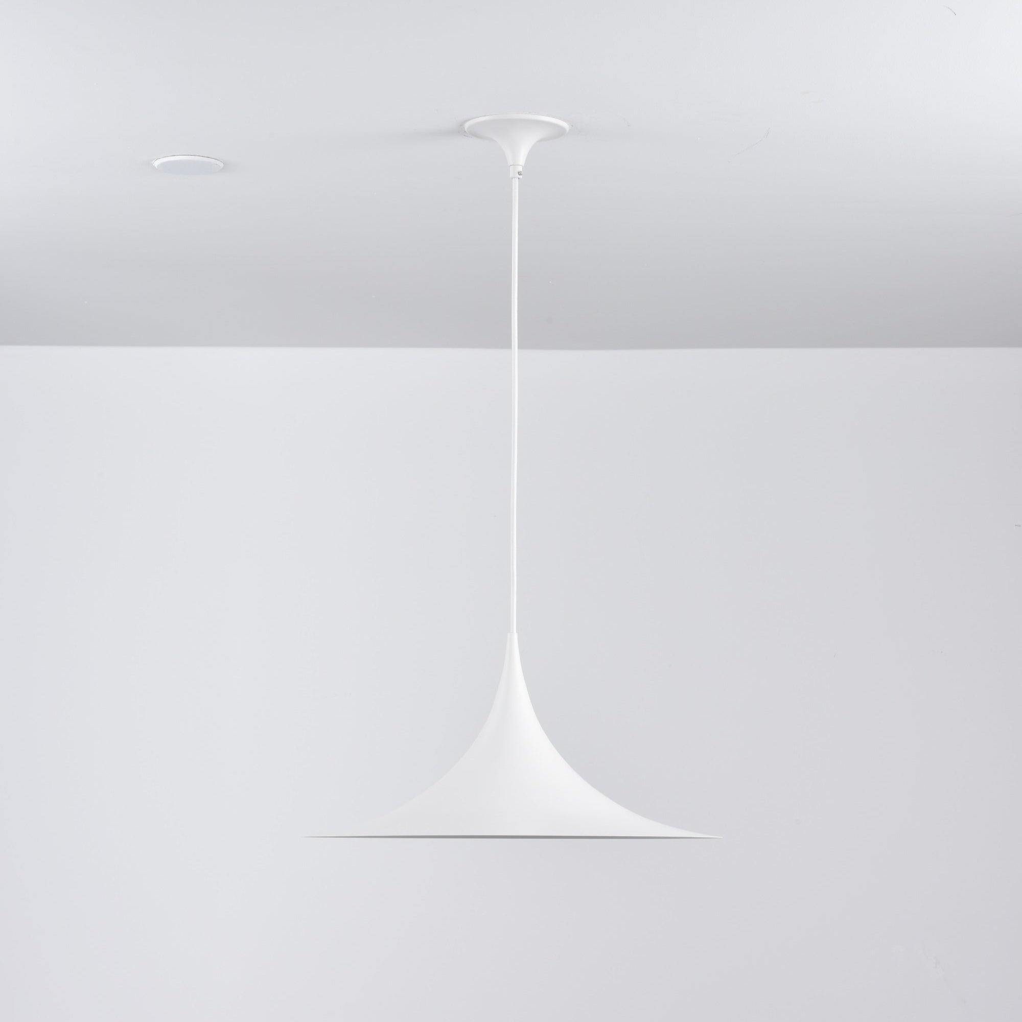 Lioreina Swag Pendant Light