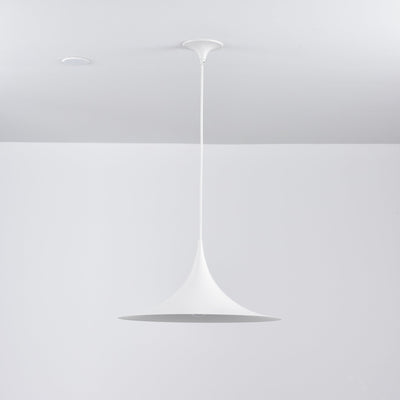 Valerira Steel Sculptural Pendant Light