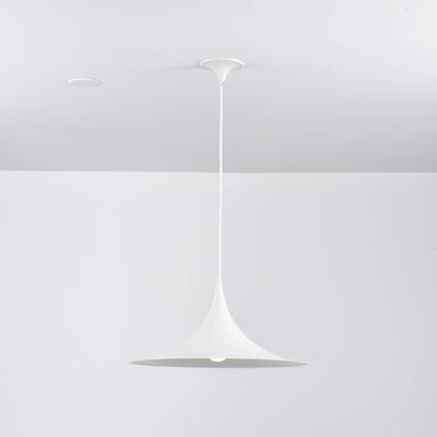 Lioreina Swag Pendant Light