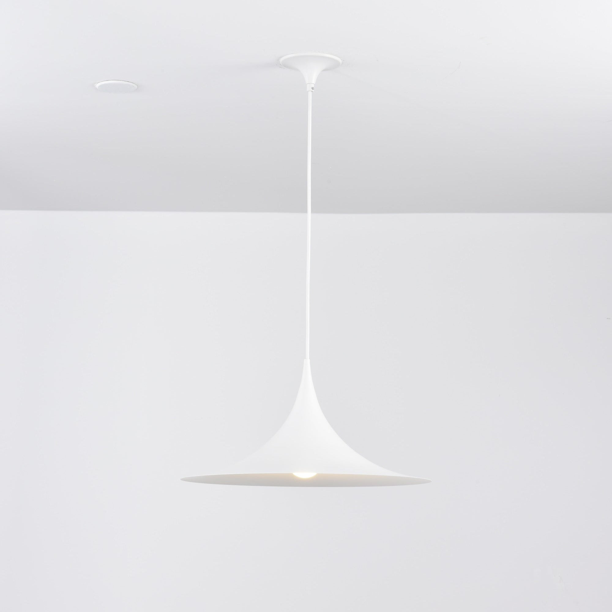 Lioreina Swag Pendant Light