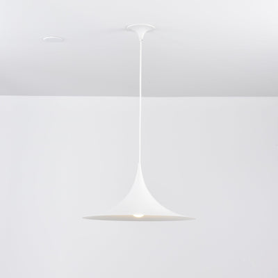 Lioreina Swag Pendant Light