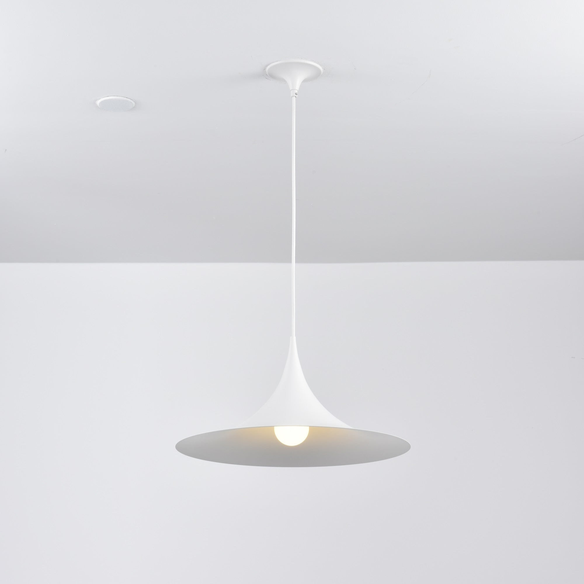 Lioreina Swag Pendant Light