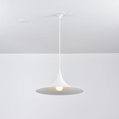 Lioreina Swag Pendant Light