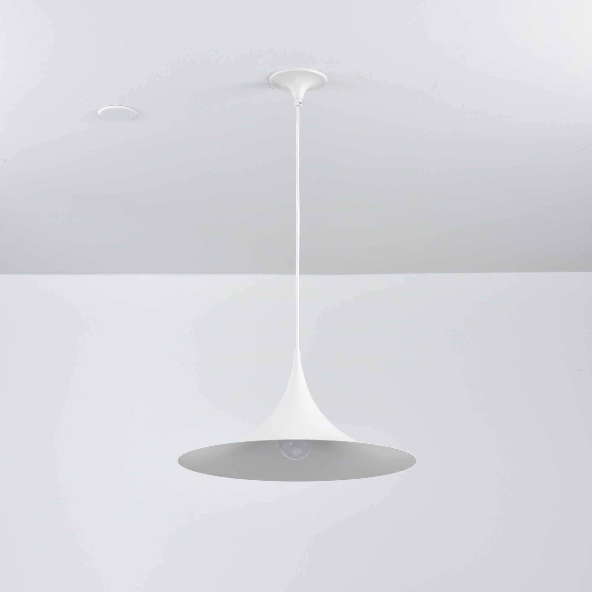 Lioreina Swag Pendant Light