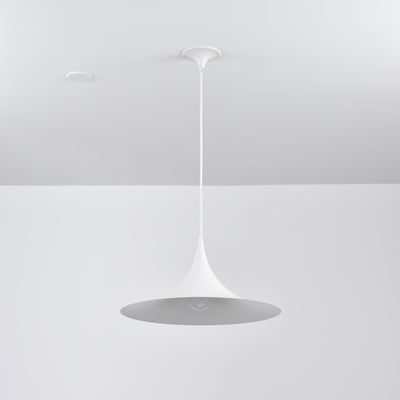 Lioreina Swag Pendant Light