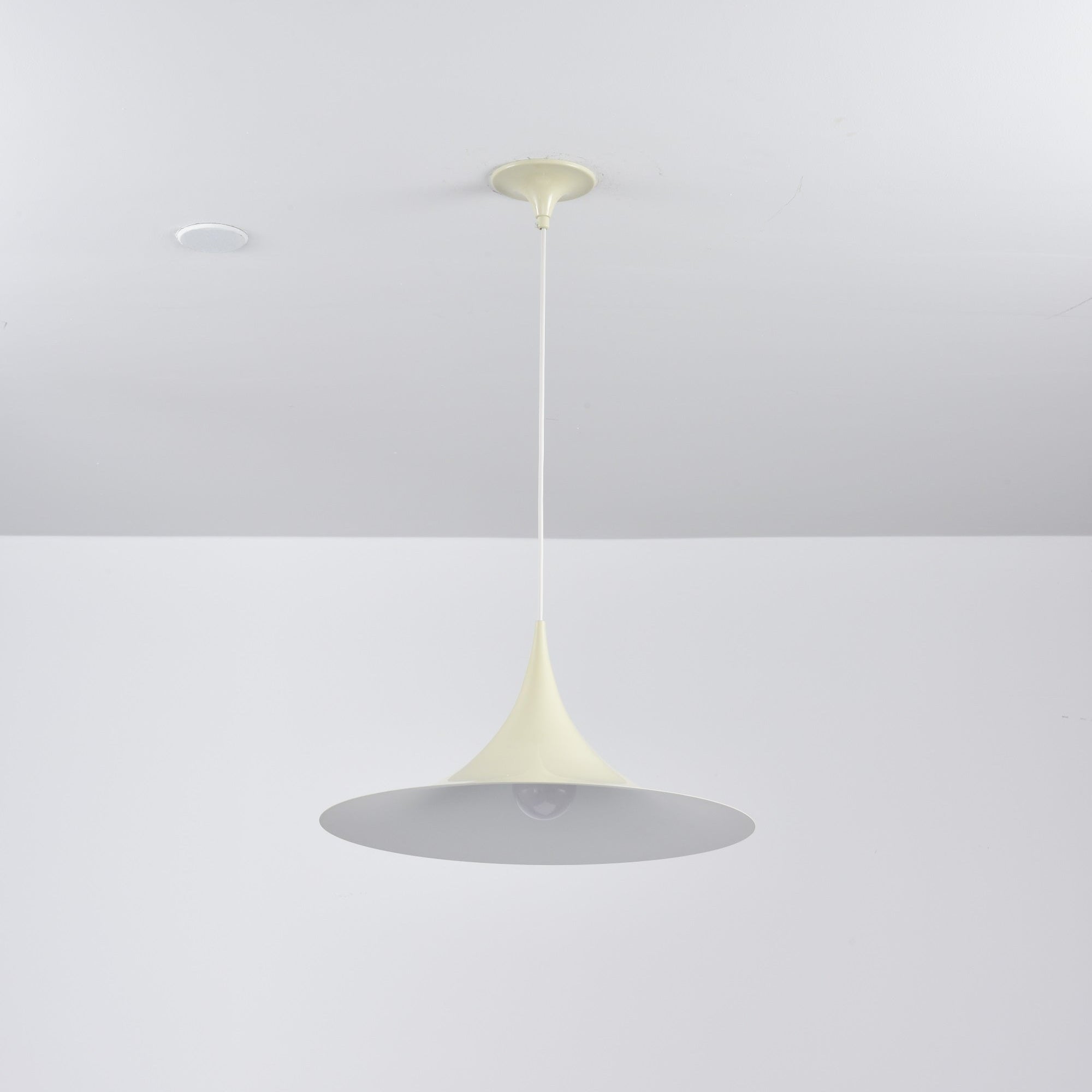 Lioreina Swag Pendant Light