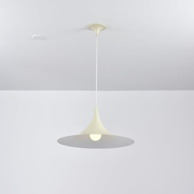 Lioreina Swag Pendant Light