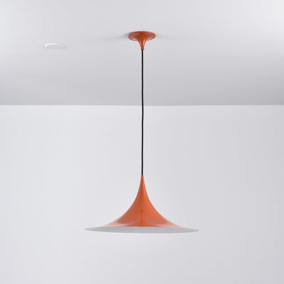Lioreina Swag Pendant Light