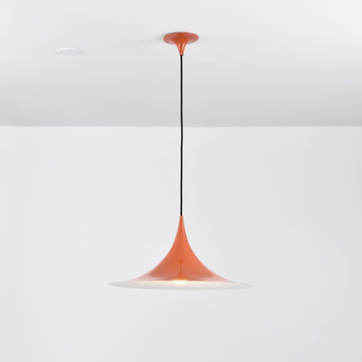 Lioreina Swag Pendant Light