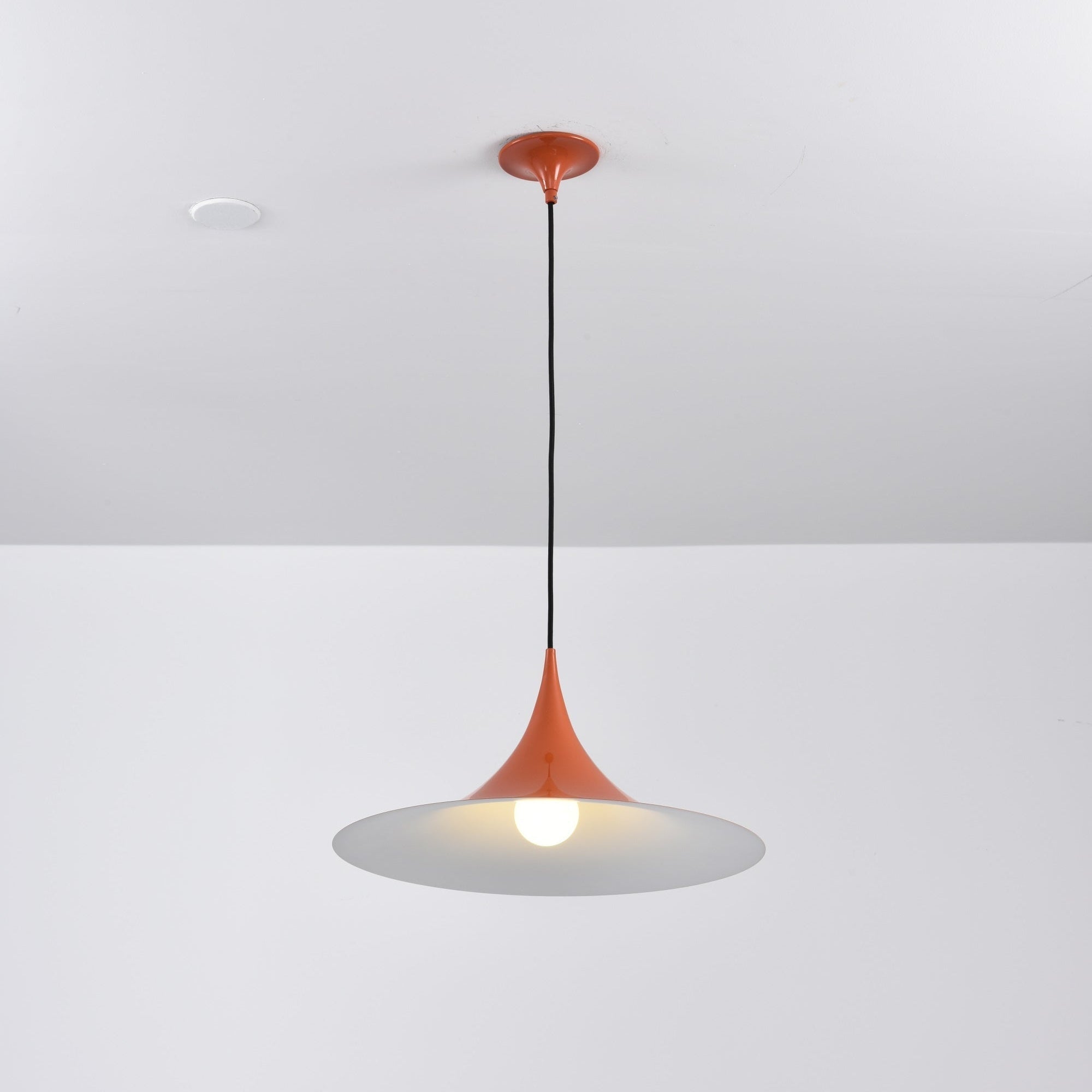 Lioreina Swag Pendant Light