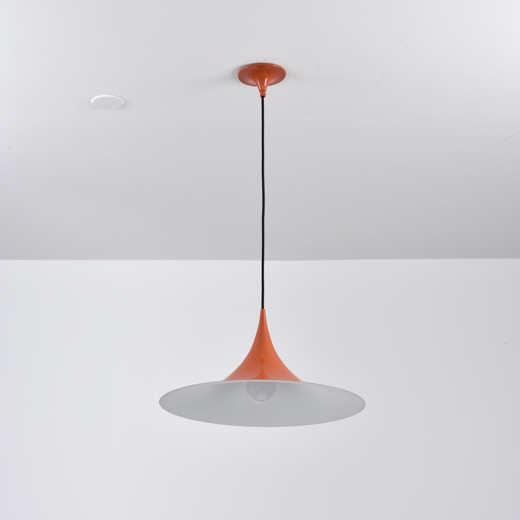 Lioreina Swag Pendant Light