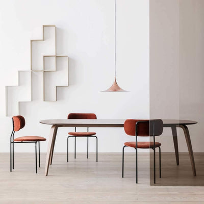 Lioreina Swag Pendant Light