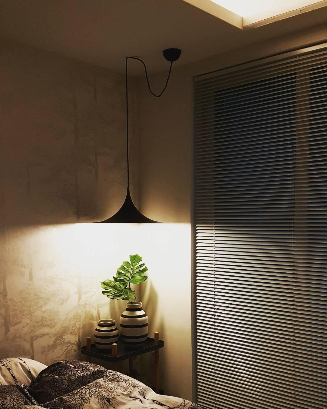 Lioreina Swag Pendant Light