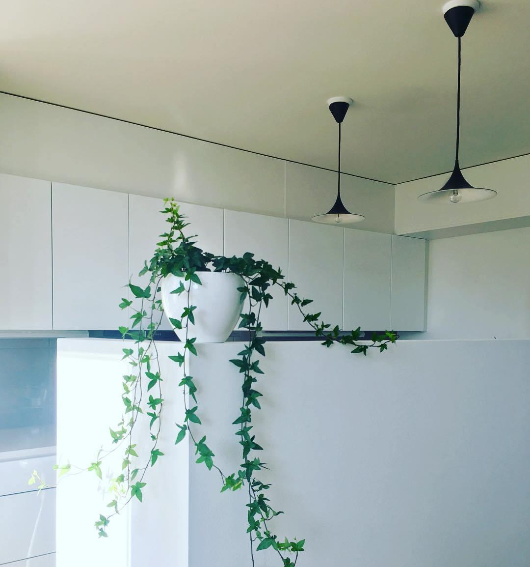 Lioreina Swag Pendant Light