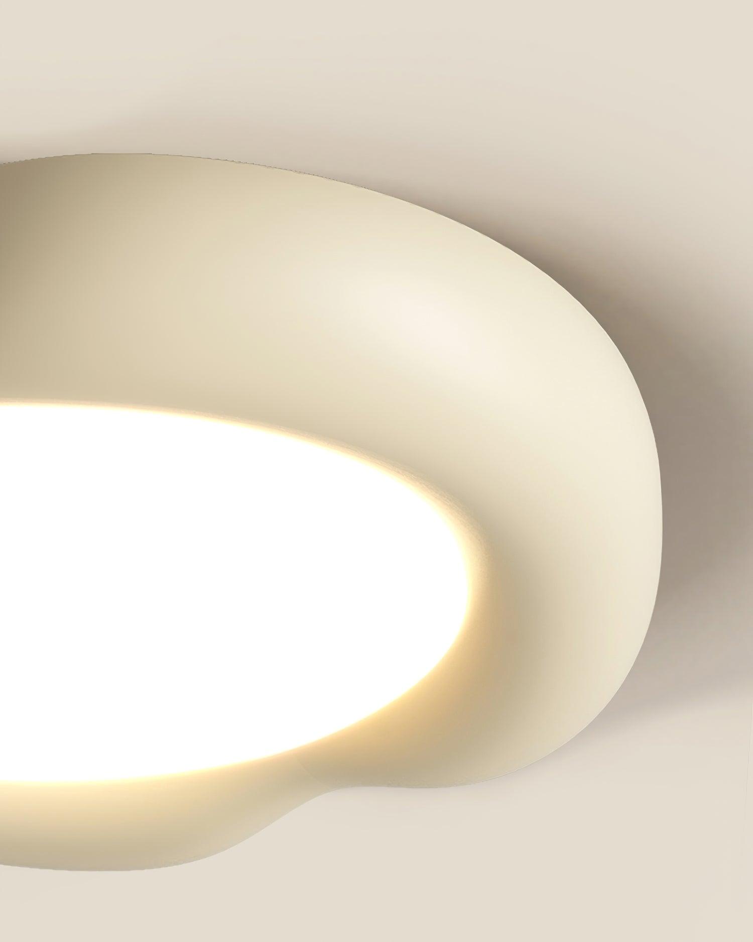 Zelaeis Shaped Apple Resin Ceiling Lamp