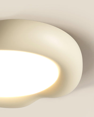 Zelaeis Shaped Apple Resin Ceiling Lamp