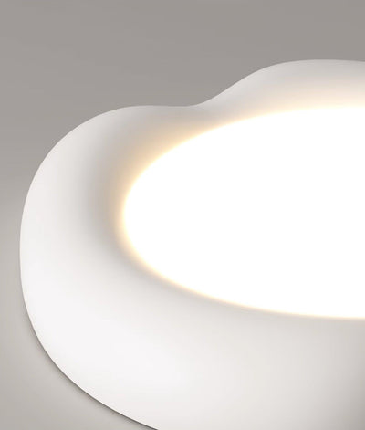 Zelaeis Shaped Apple Resin Ceiling Lamp