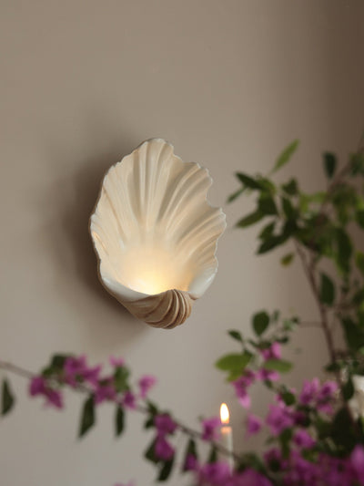 Shell Wall Sconce