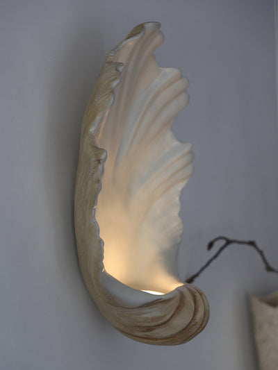 Shell Wall Sconce