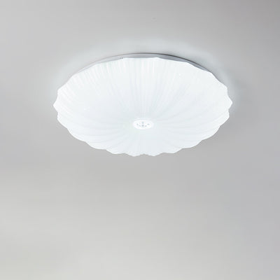Coloria Nordic Art Shell Round Ceiling Lamp - Neutral Decor
