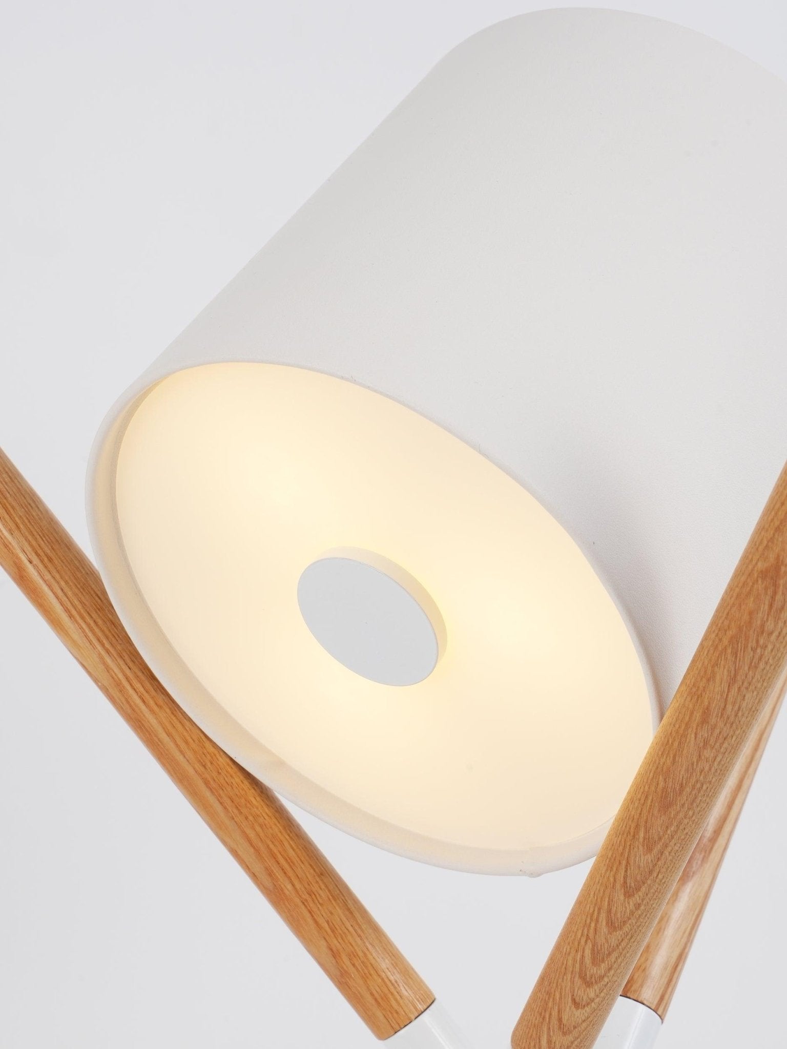 Daphane Modern Table Lamp