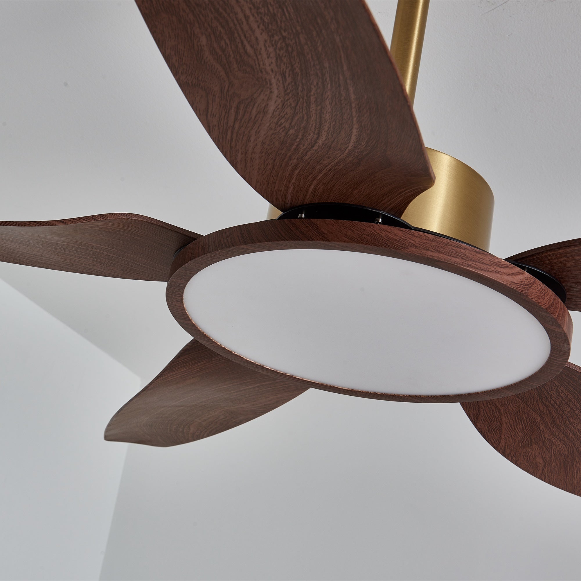 Aurelia Modern Wood Brass Ceiling Fan Light - Neutral Decor