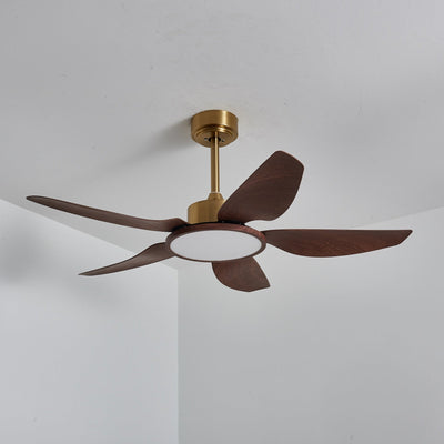Aurelia Modern Wood Brass Ceiling Fan Light - Neutral Decor