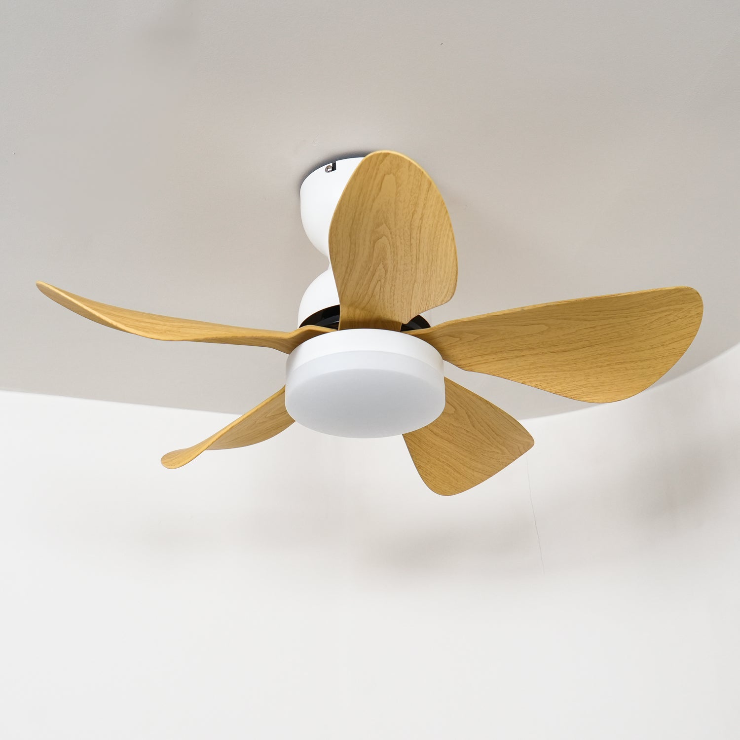 Elvanelle Wood Ceiling Fan Light