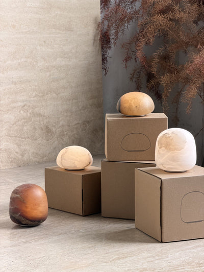 Terioia Table Lamp