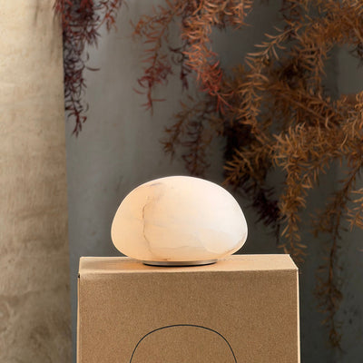 Terioia Table Lamp