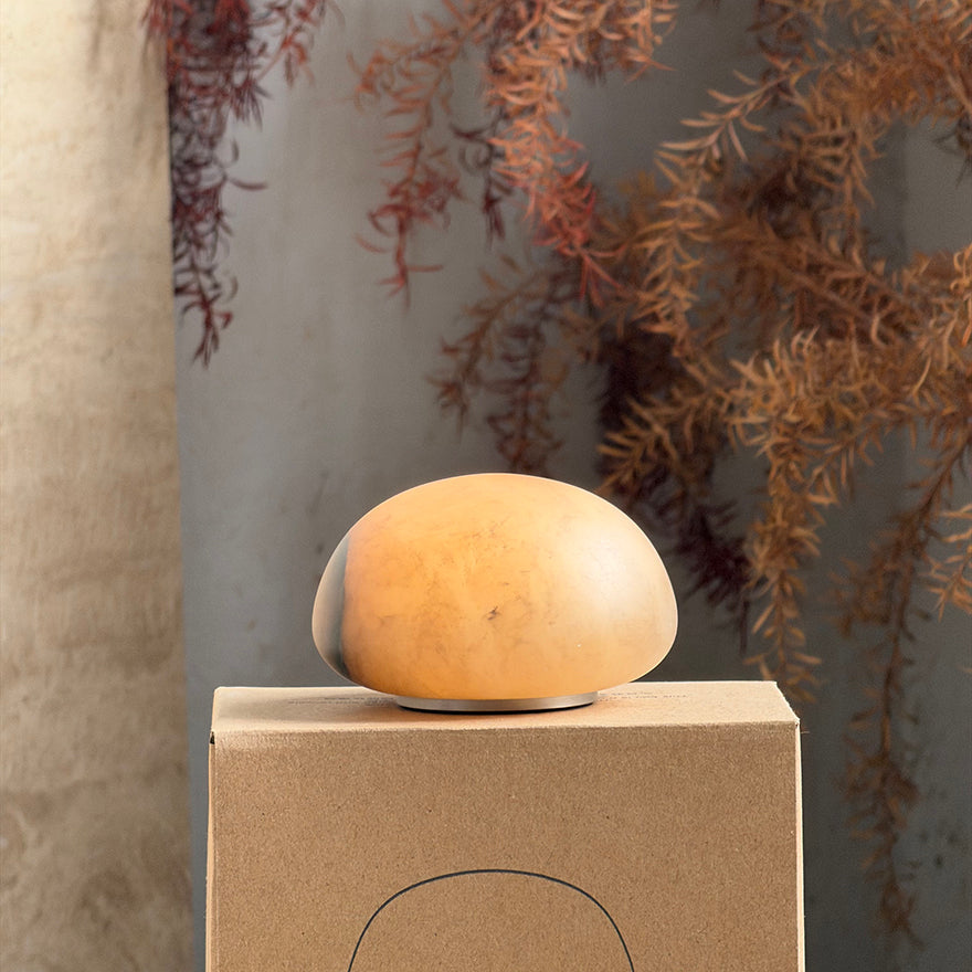 Terioia Table Lamp