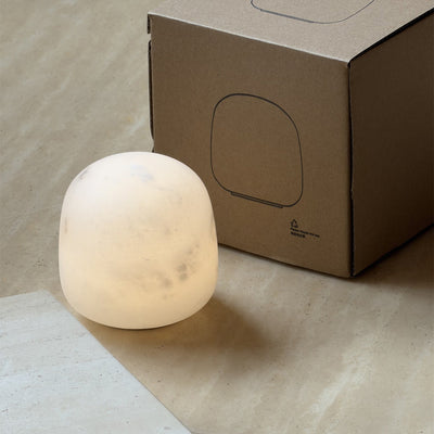 Terioia Table Lamp