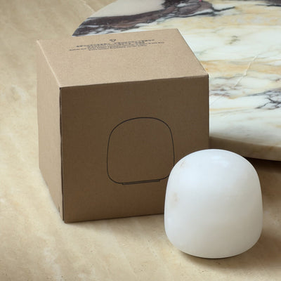 Terioia Table Lamp