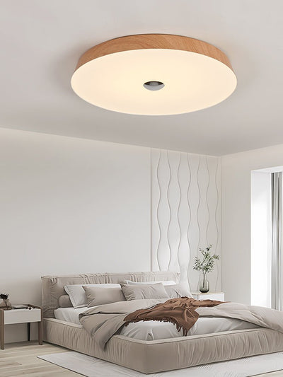Ceshaora Modern Minimalist Woodgrain Ceiling Light