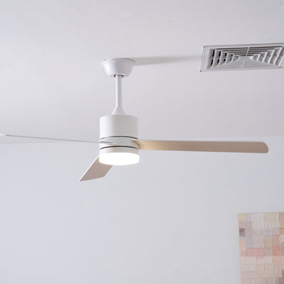 Virainian Drift Ceiling Fan Lamp