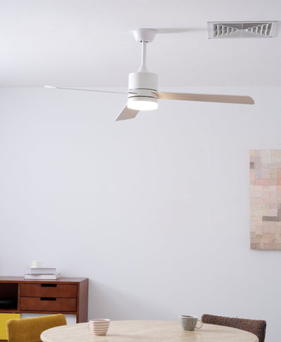 Virainian Drift Ceiling Fan Lamp