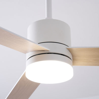 Virainian Drift Ceiling Fan Lamp