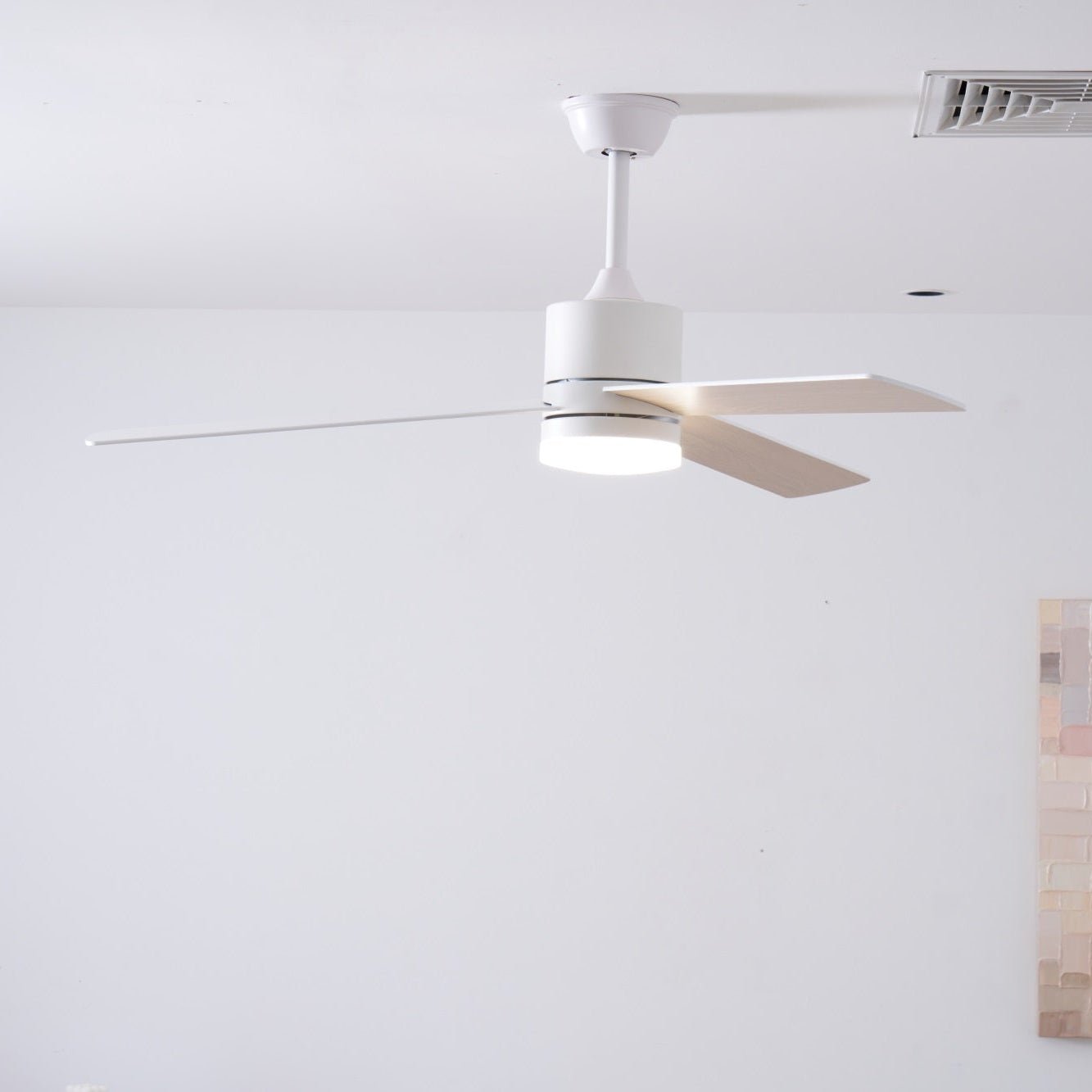 Virainian Drift Ceiling Fan Lamp