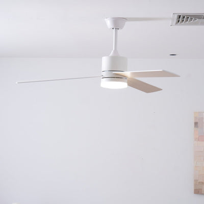 Virainian Drift Ceiling Fan Lamp