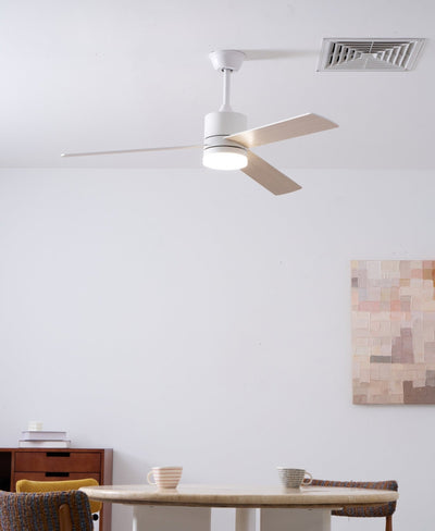 Virainian Drift Ceiling Fan Lamp