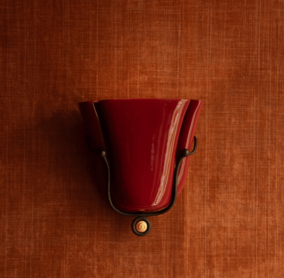 Caelion Shell Wall Sconce