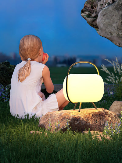Prytk Outdoor Lamp Pod Lantern Solar