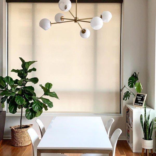 Aristin Chandelier Staggered Glass 6-Light