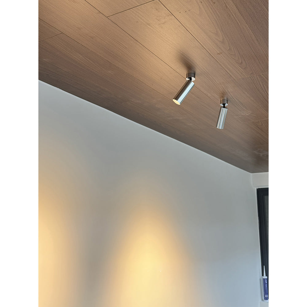 Riveia Ceiling Spotlight Lamp