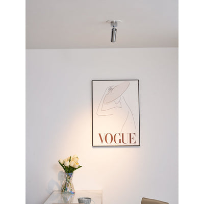 Riveia Ceiling Spotlight Lamp