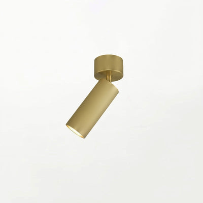 Riveia Ceiling Spotlight Lamp