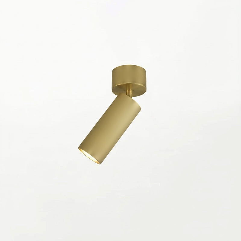 Riveia Ceiling Spotlight Lamp