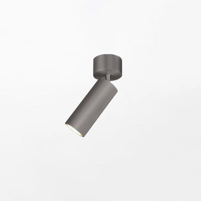 Riveia Ceiling Spotlight Lamp